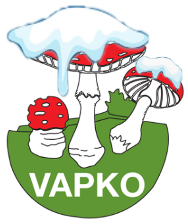 VAPKO neige