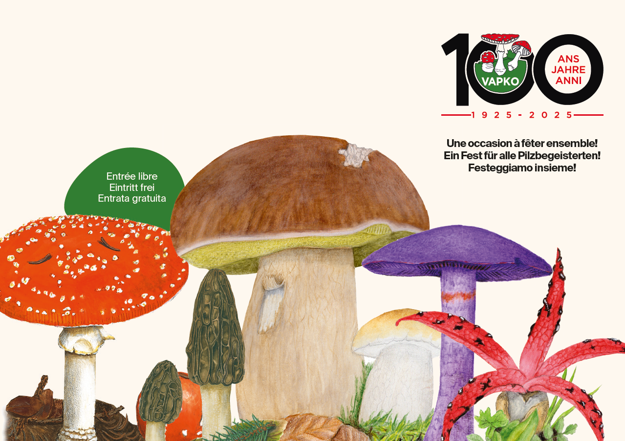 VAPKO 100 Jahre VAPKO 100 Jahre Header